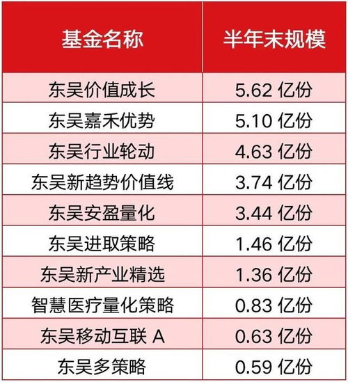 东吴基金短板凸显，挑战与机遇并存｜专业分析起底持续亏损实情
